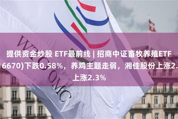 提供资金炒股 ETF最前线 | 招商中证畜牧养殖ETF(516670)下跌0.58%，养鸡主题走弱，湘佳股份上涨2.3%