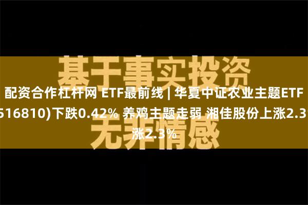 配资合作杠杆网 ETF最前线 | 华夏中证农业主题ETF(516810)下跌0.42% 养鸡主题走弱 湘佳股份上涨2.3%