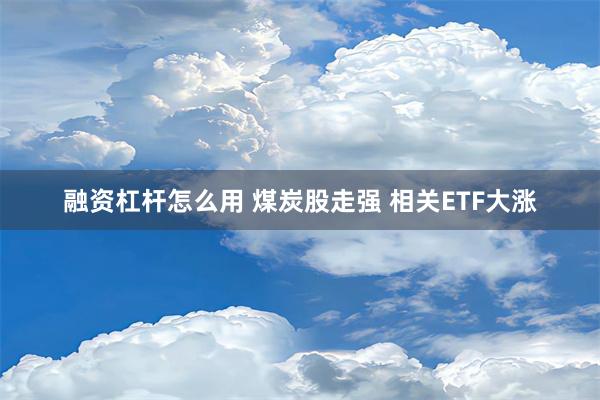 融资杠杆怎么用 煤炭股走强 相关ETF大涨