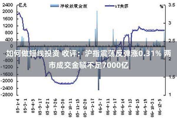 如何做短线投资 收评：沪指震荡反弹涨0.31% 两市成交金额不足7000亿