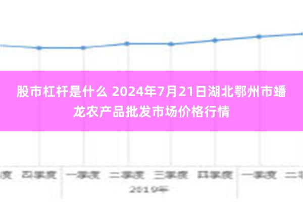 股市杠杆是什么 2024年7月21日湖北鄂州市蟠龙农产品批发市场价格行情