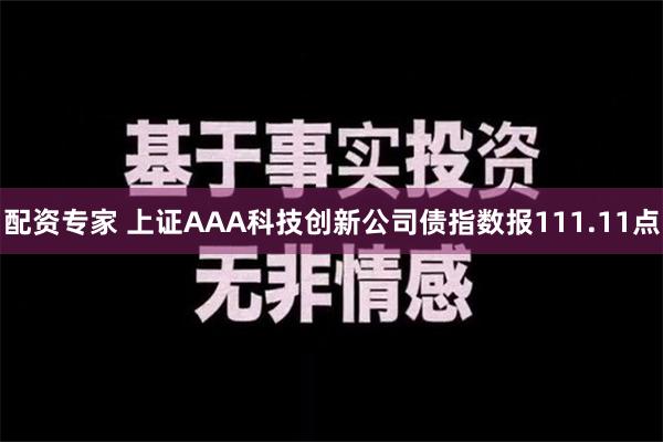 配资专家 上证AAA科技创新公司债指数报111.11点