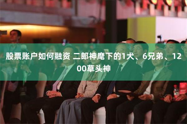 股票账户如何融资 二郎神麾下的1犬、6兄弟、1200草头神