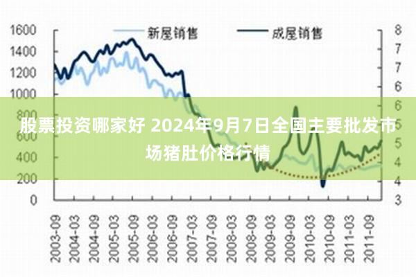 股票投资哪家好 2024年9月7日全国主要批发市场猪肚价格行情