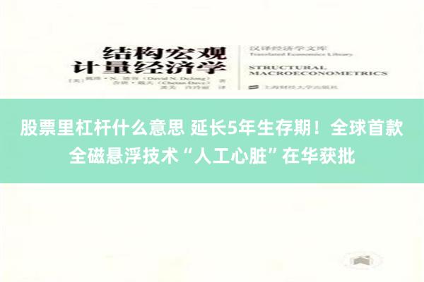 股票里杠杆什么意思 延长5年生存期！全球首款全磁悬浮技术“人工心脏”在华获批