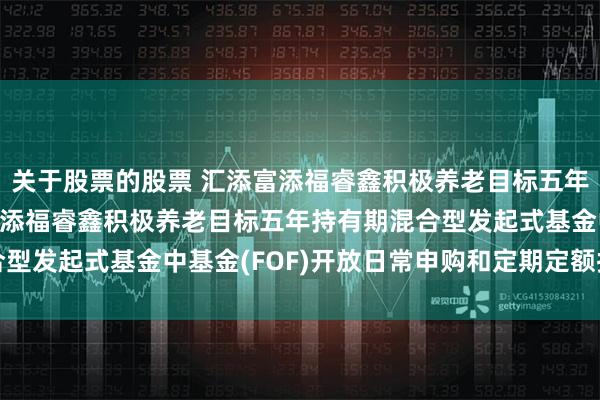 关于股票的股票 汇添富添福睿鑫积极养老目标五年混合(FOF): 汇添富添福睿鑫积极养老目标五年持有期混合型发起式基金中基金(FOF)开放日常申购和定期定额投资业务公告