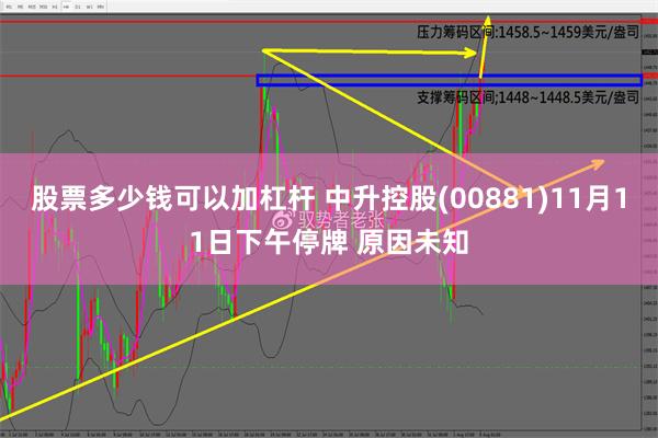 股票多少钱可以加杠杆 中升控股(00881)11月11日下午停牌 原因未知