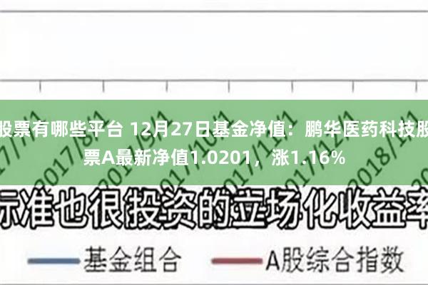 股票有哪些平台 12月27日基金净值：鹏华医药科技股票A最新净值1.0201，涨1.16%